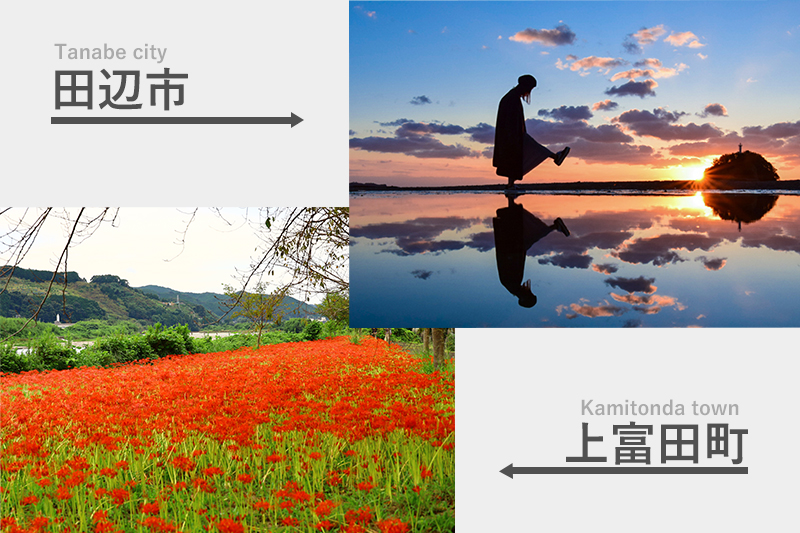 田辺市・上富田町